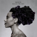 Malia_Black-Orchid